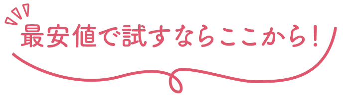 最安値で試すならここから！